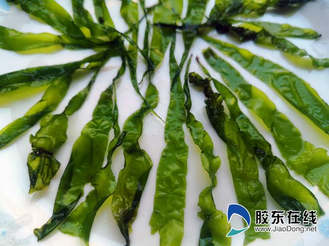 海青菜是裙带菜吗？（海青菜营养价值）