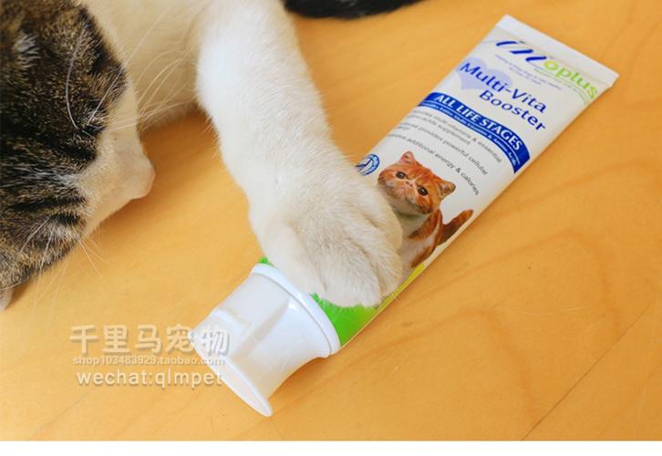 猫为什么喜欢吃营养膏？营养膏的主要成分是什么？（猫有必要吃营养膏吗）