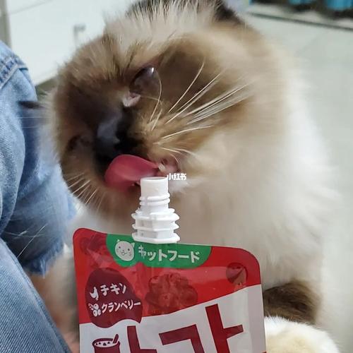 猫可以吃油的东西么？（胰腺炎吃什么营养品）