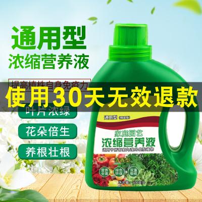 flowerfood营养液怎么用？（叶菜营养液配方）