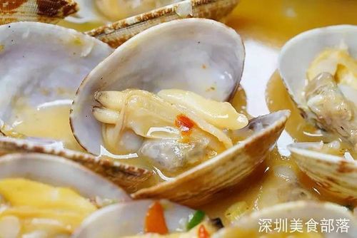 食用盐可以养沙白吗？（沙白营养）