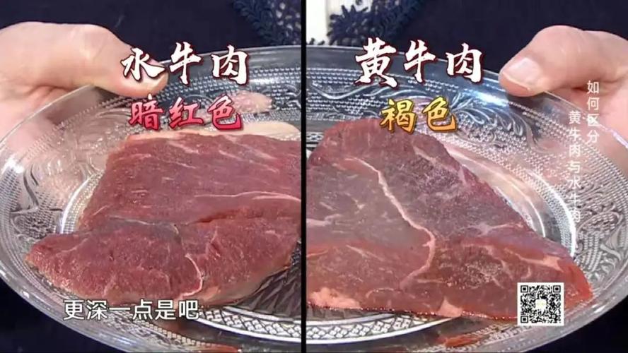 牛肉与瘦肉的区别？（黄牛肉的营养价值）