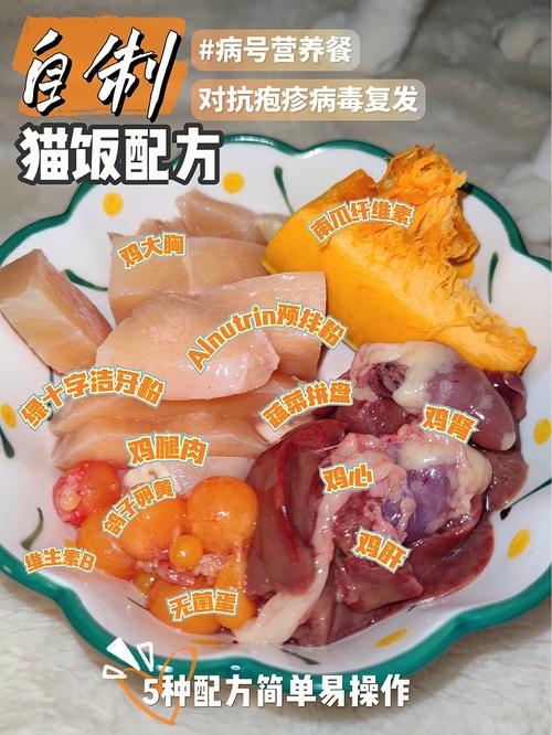 猫猫应该吃什么能长肉？（孩子长肉的营养餐）