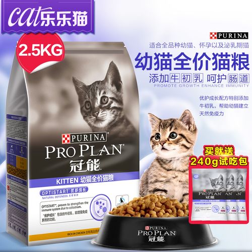 猫咪怀孕了要准备什么营养品？（猫怀孕吃什么营养品好）