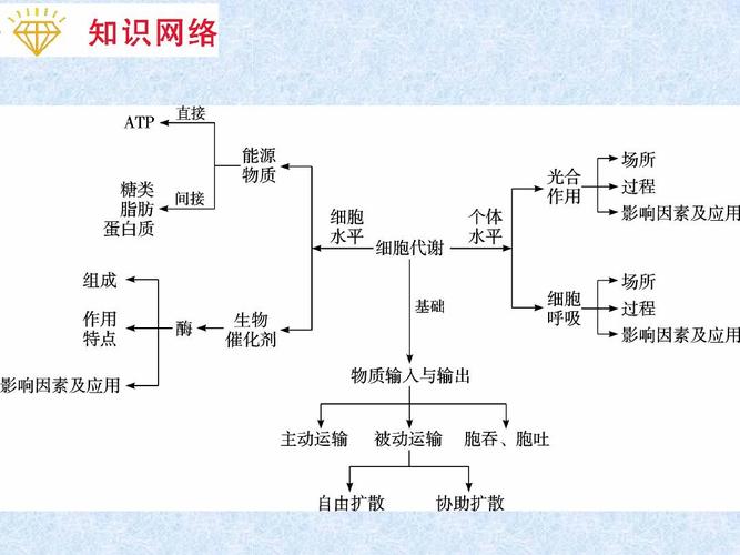 组织液为组织细胞提供营养物质，细胞的代谢产物也透过细胞膜进入组织液。其中的营养物质包括氧气吗，代谢？（细胞与营养）