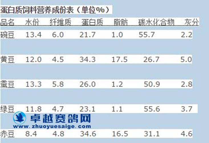 信鸽营养价值？（信鸽的营养价值）