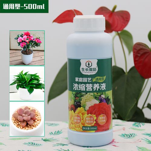 通用花卉营养液可以用于鲜切花吗？（插花 营养液）