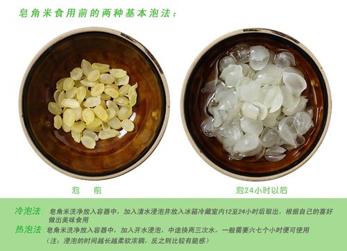 皂角米的成分？（雪莲子营养）