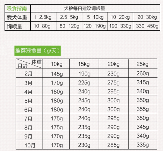 9个月比熊每天吃多少狗粮？（狗粮营养成分表）