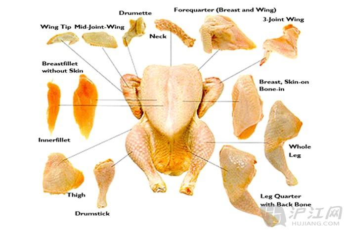 鸡的哪个部位最有营养？（鸡的营养价值及功效）