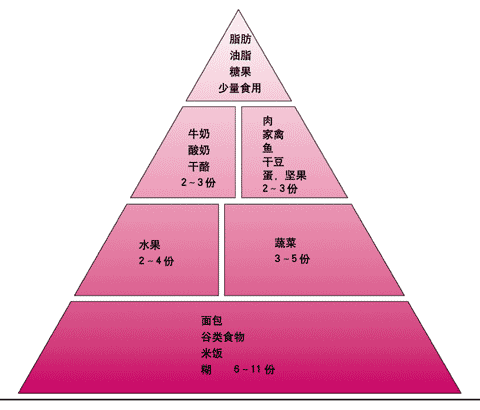 能量金字塔名词解释？（合理营养金字塔）