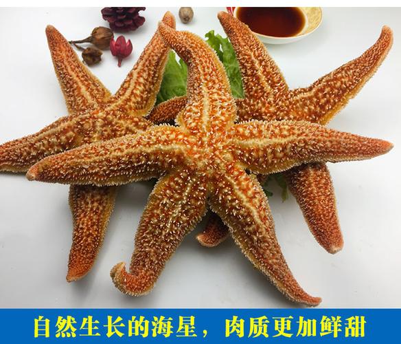 海鲜有哪些营养？（海星营养价值）