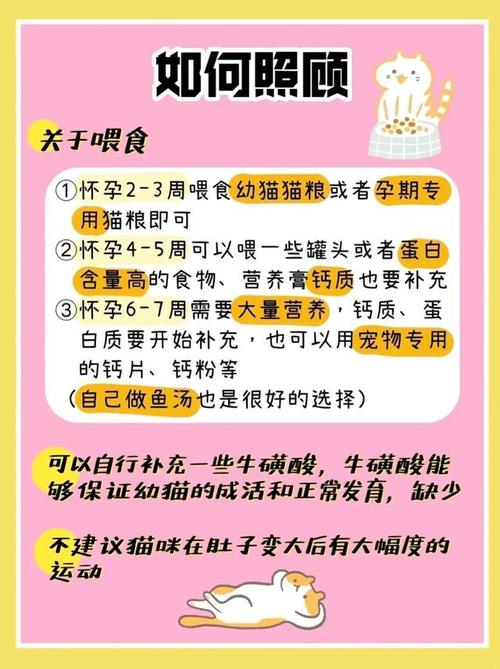 猫咪怀孕初期注意事项和饮食禁忌？（初期孕妇营养食谱大全）