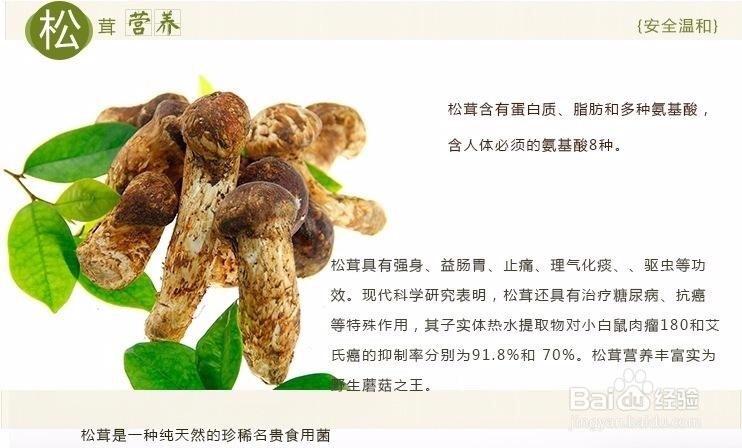 松茸怎么做营养？（松茸的营养成分表）