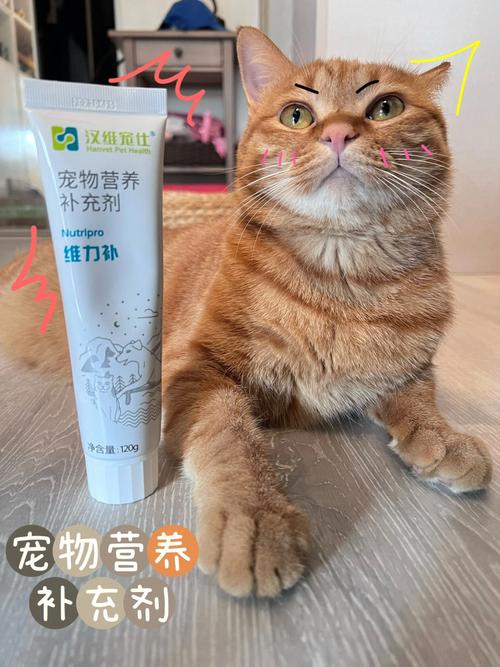 大家来分享啊，各种牌子的猫用营养膏哪个最好？（猫专用营养膏）