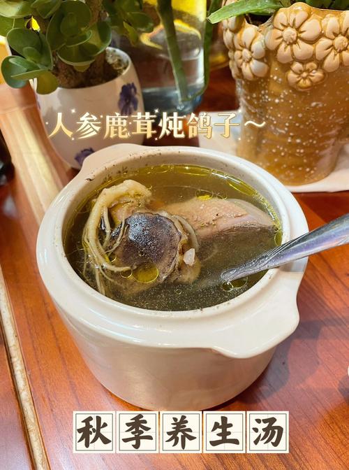 鹿茸人参汤鸽子汤做法？（鹿茸鸽子汤的营养价值）