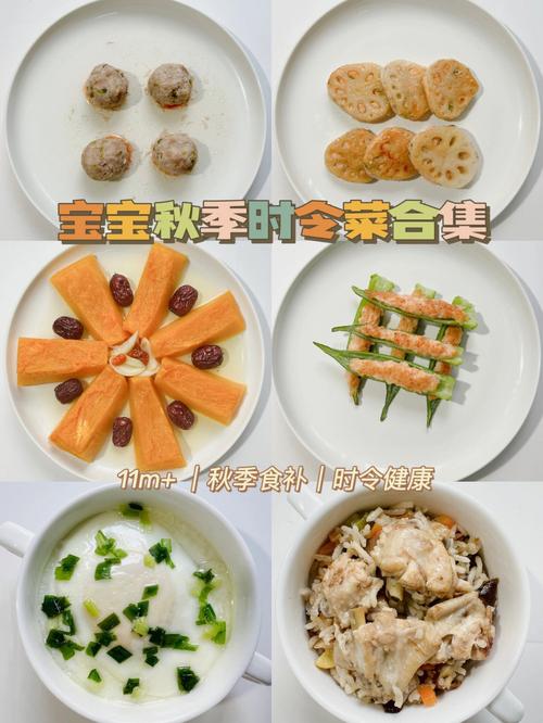 宝宝秋天吃什么菜好？（儿童秋季营养）