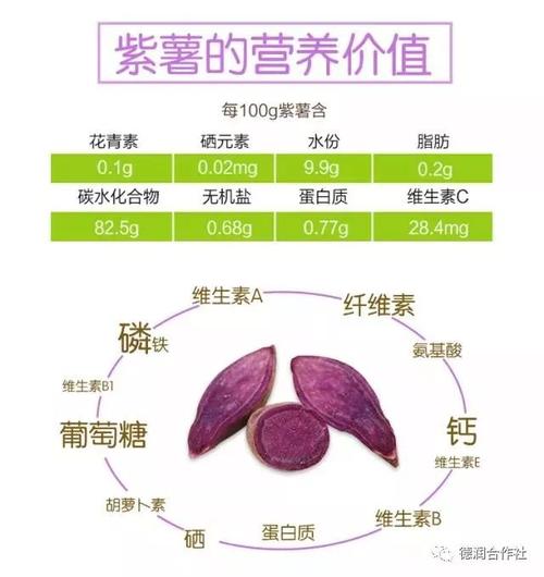 紫薯含糖吗？（紫薯的营养成份）