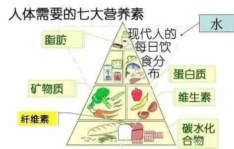 营养学上的六大营养素，我们身体缺乏哪两个会让人很快感到不舒服？（六大营养素及作用）