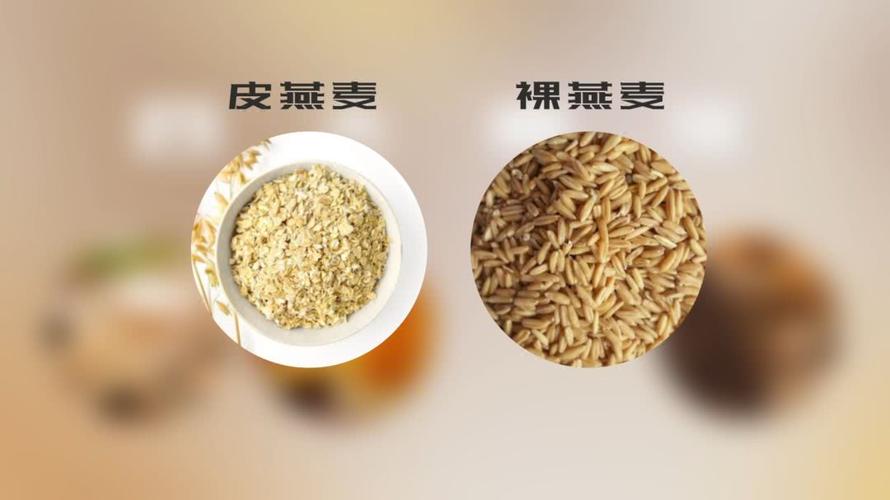 什么是莜麦？（莜麦的营养价值及功效）