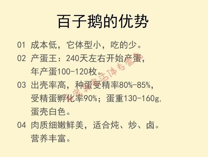 灰鹅和白鹅的蛋哪个有营养些？（鹅蛋蛋白和蛋黄的营养）