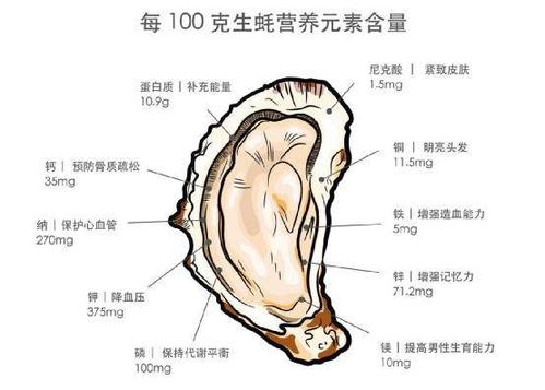 生蚝含蛋白质是多少磷是多少？（蚝的营养成分表）