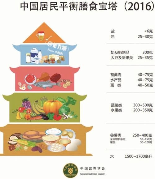 我国知名平衡膳食宝塔底层的食物是什么？（中国营养宝塔）