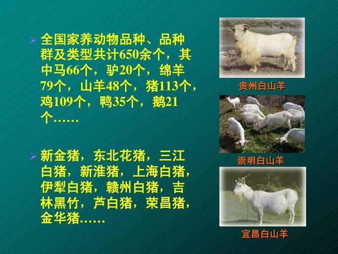 猪，羊，牛，驴，鹅，兔，鸭，鸡，鱼，的肉哪个更有营养？（食品营养排名）