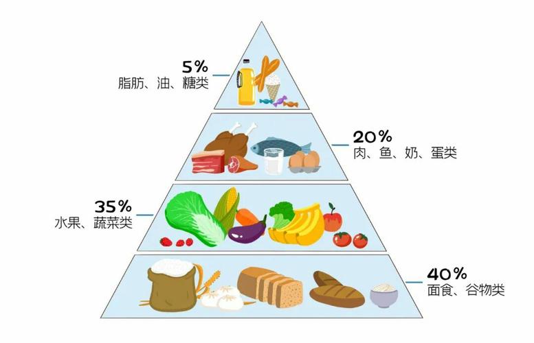 食物金字塔有什么优点？（儿童营养膳食金字塔）