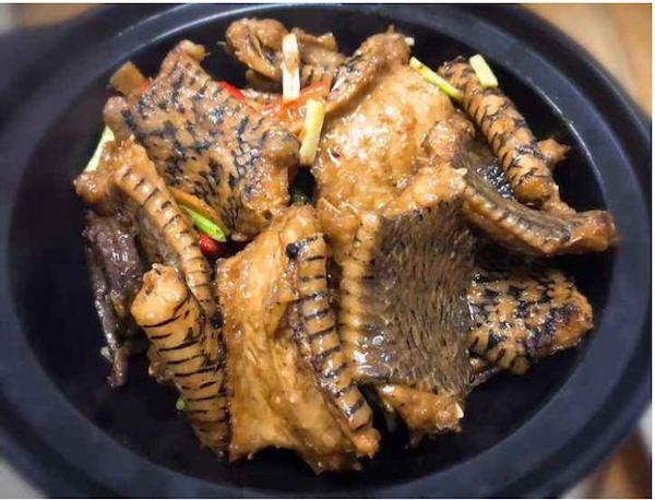 蛇肉怎么吃，会不会有味道？（蛇肉有什么营养）