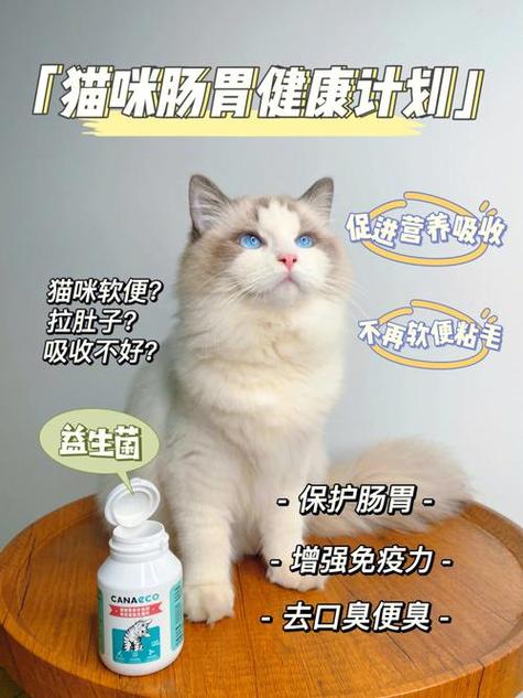 龙猫吃什么营养液？（肠道内营养液）