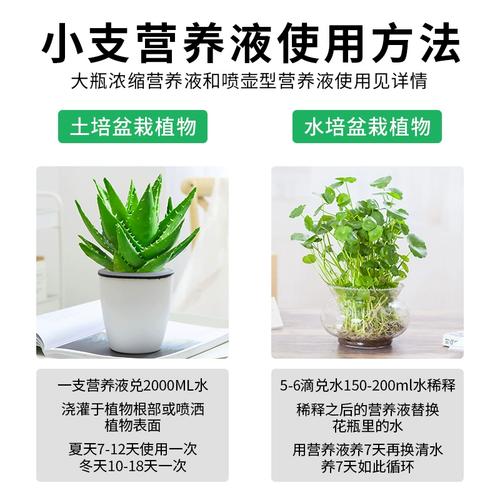 花的营养液是什么成分？（盆栽花卉营养液）