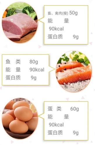 肉蛋奶指的是什么？（肉里面的营养）