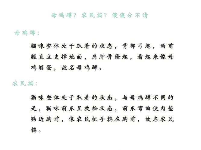 母鸡蹲和农民揣的区别？（母鸡的蛋袋有营养吗）