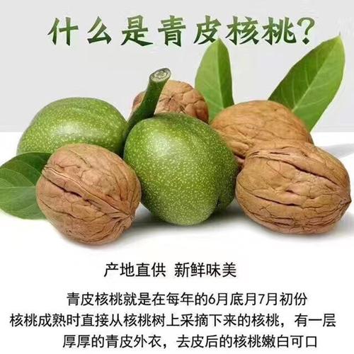 吃干核桃好还是鲜核桃好？（新鲜山核桃的营养价值）