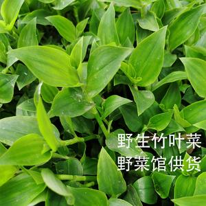 竹叶菜的功效与作用？（竹叶的营养价值）