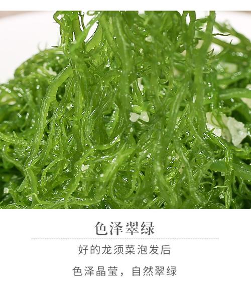 龙须菜是什么菜？（龙须莱营养）