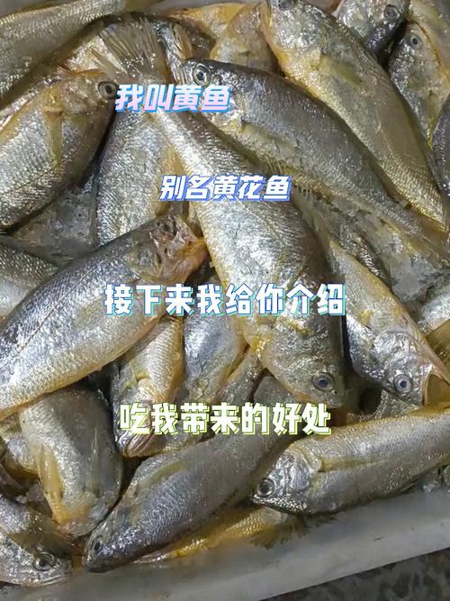 吃黄鱼的好处和坏处？（黄鱼营养价值及功效）