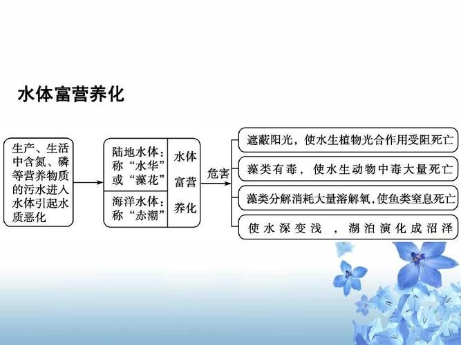 水体富营养化是如何产生的？（水体富营养化的成因）