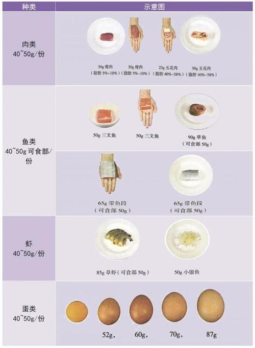 肉蛋奶指的是什么？（营养与食品）