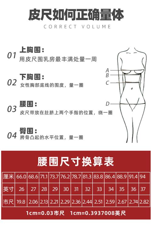 中围和腰围一般差多少？（德国营养学）