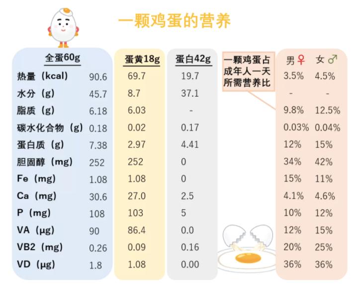 煎鸡蛋大火和小火的区别？（火鸡蛋的营养价值）