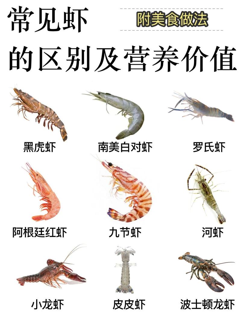 什么海虾？（海虾营养价值）