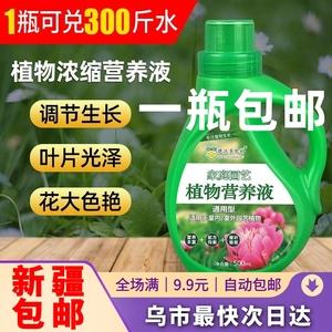 花卉植物营养液什么牌子的好呢？（营养液品牌）