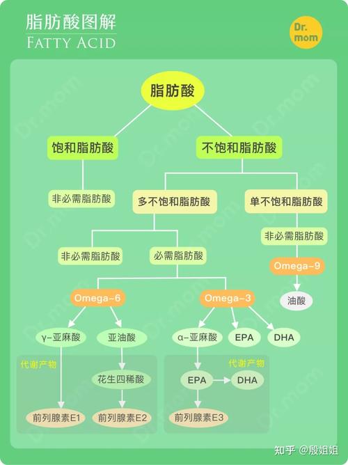 营养必需脂肪酸概念（营养必需脂肪酸概念解释）