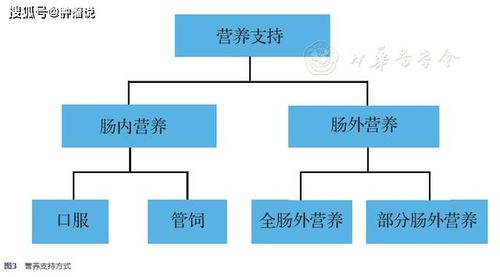 放疗营养的毒副作用（放疗 营养）