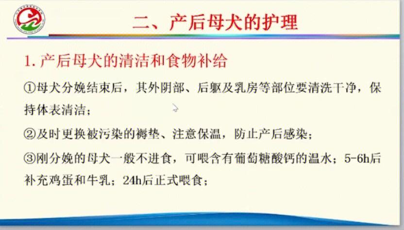 母狗产后护理营养（母犬产后护理喂养）