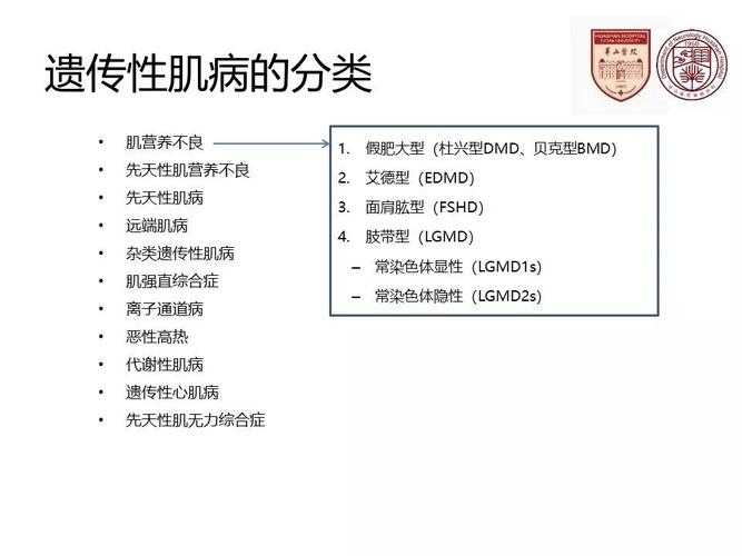 肌营养不良基因诊断（肌营养不良基因诊断标准）