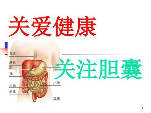 胆需要的营养（胆的养护）