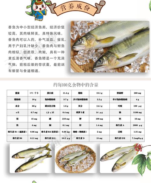 香魚营养价值（香鱼别名）